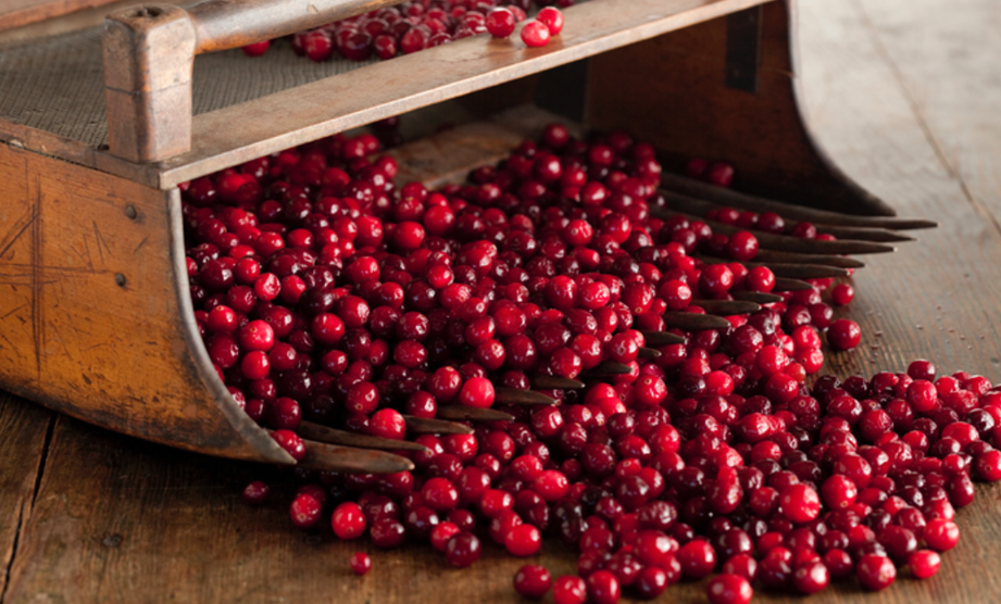 What’s in Season: Cranberries