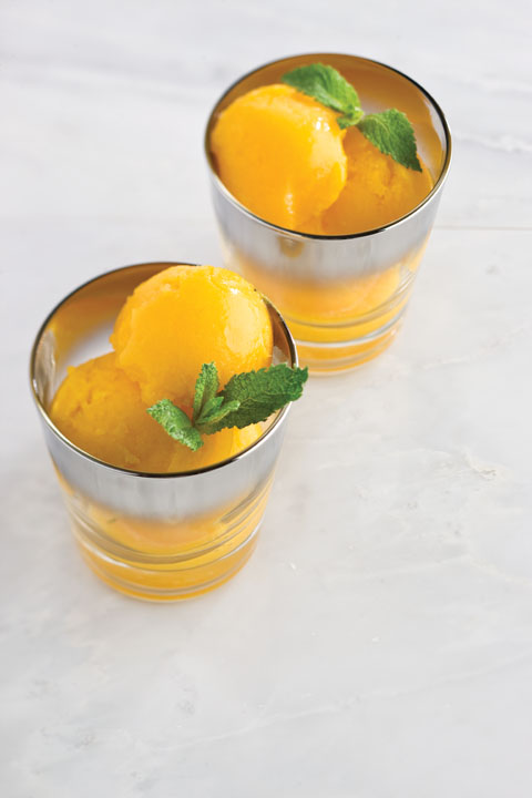 Mango-Mint Sorbet Recipe