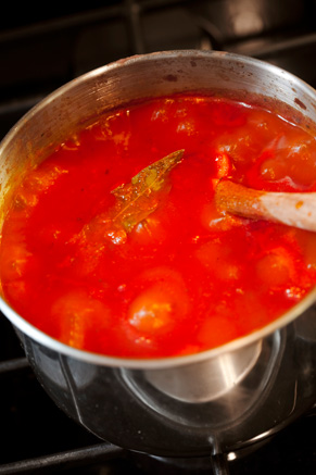 Basic Italian Tomato Sauce Recipe